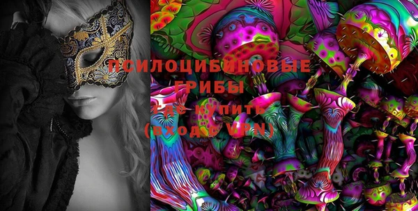 герыч Арсеньев