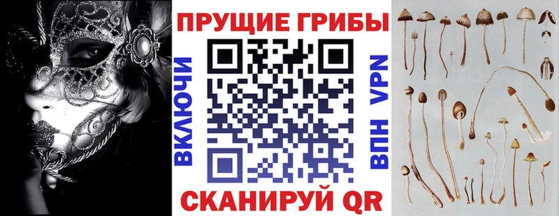 kraken как зайти  Сорочинск  Псилоцибиновые грибы ЛСД 